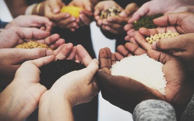 5 Ways to Get Involved in Fighting Hunger in Your Local Community